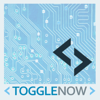 ToggleNow Software Solutions Pvt. Ltd.
